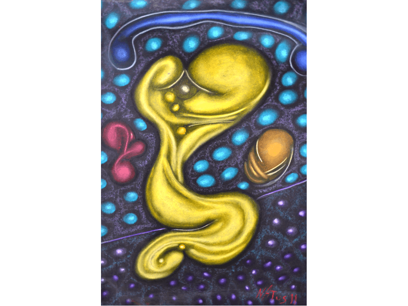 Mein Universum